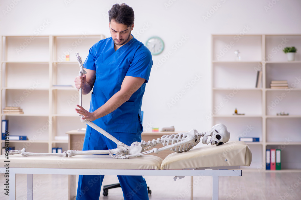 Young male doctor examining skeleton patient