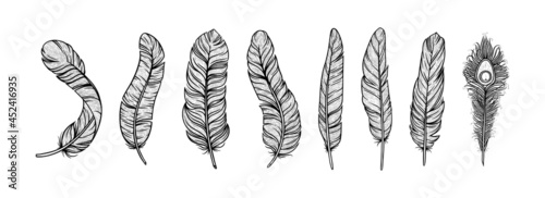 Feathers in ethnic style. Set of indian bird feathers with peackock one isolated in white background. Hand drawn vector illustration