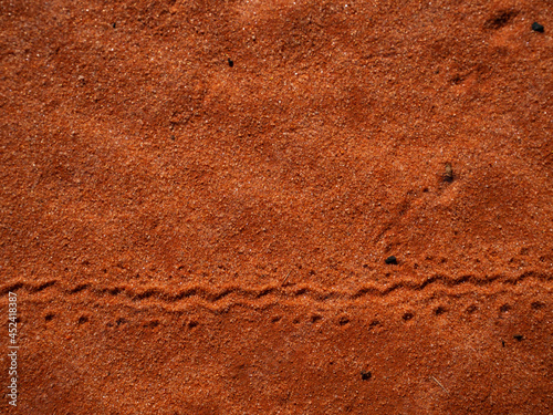 Fototapeta Naklejka Na Ścianę i Meble -  Animal tracks in red central Australia sand dune outback Australia