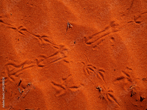 Red desert animal tracks in Central Australia