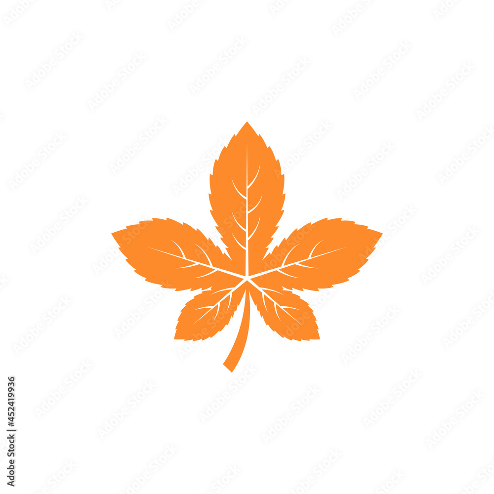 Autumn leaf fall icon design illustration template Autumn leaf fall icon design illustration template