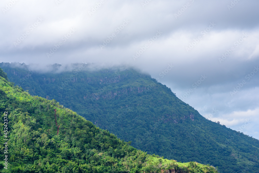mountains with clouds in a tropical forest