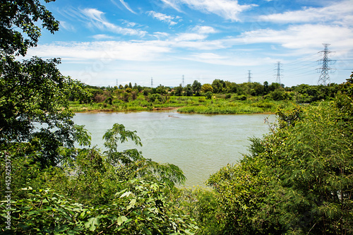 The trees have a triangular niche in the center and a river running through them is used as a background image.