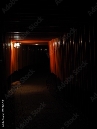 伏見稲荷大社の夜の千本鳥居