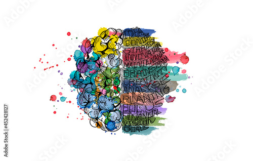 Sketch brain  -  Watercolor stains colorful - Idea and Concept Vector illustration.