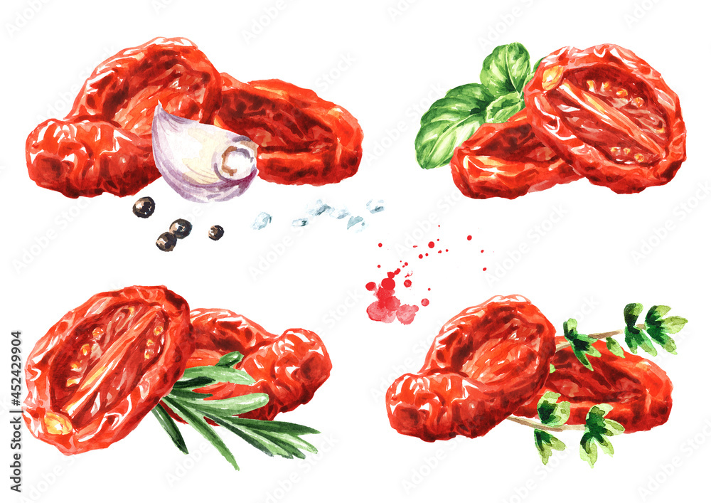 Dried tomatoes with herbs and spices set. Hand drawn watercolor illustration, isolated on white background - obrazy, fototapety, plakaty 