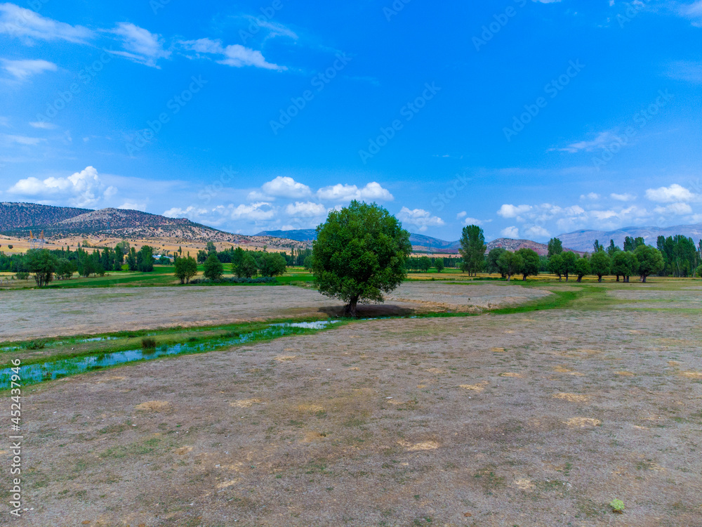 Fototapeta premium landscape with road and trees