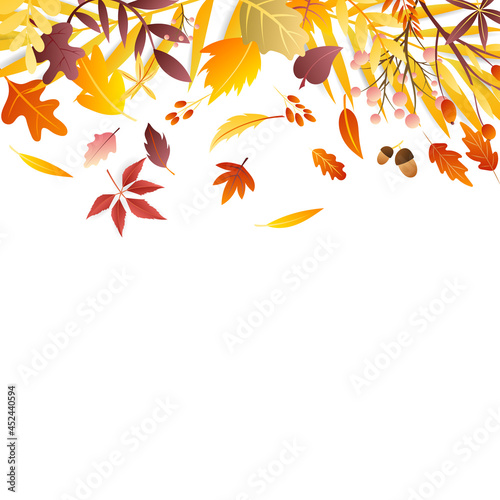 Autumn frame with copy space , isolated on white background for content online or web, banner and template, Simple cartoon flat style. illustration Vector EPS 10