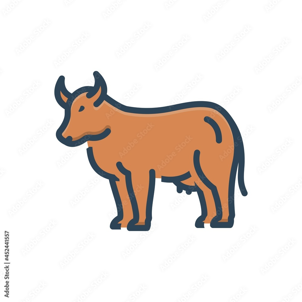 Color illustration icon for cow