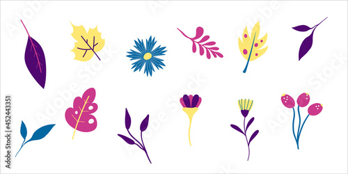 Set bundle of fantasy flowers and leaves in violet, blue, pink and yellow colors. Vector design. Cartoon style. Botanic decoration.