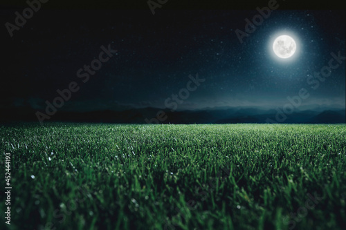 Green field on the background of the night sky. Elements of this image furnished by NASA