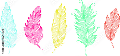 Vector feathers collection. Hand drawn isolated on white background vector set. Vintage art illustration 