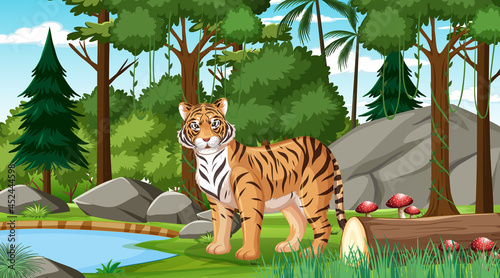 A tiger in forest or rainforest scene with many trees