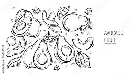 Set of hand drawing avocado. For labels, menus, design, posters and printing