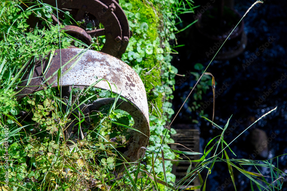 Obraz premium Old parts of mechanisms in the forest. Rusty wheels and parts in the grass