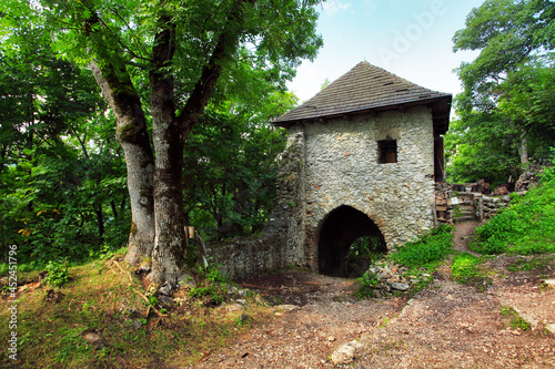 Ruin of castle Muran in Slovakia