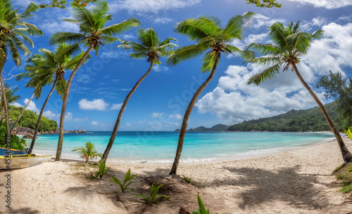 Palm trees on paradise Sunny beach and tropical sea. Panoramic view. Summer vacation and tropical beach concept. 