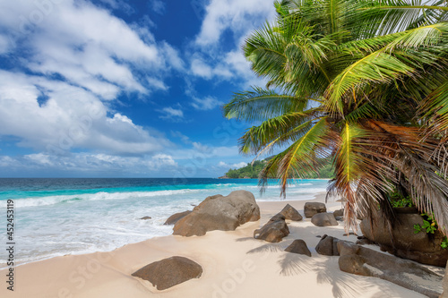 Sunny tropical beach in Seychelles. Summer vacation and tropical beach concept. 