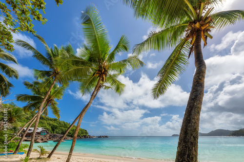Palm trees on paradise Sunny beach and tropical sea. Summer vacation and tropical beach concept. 