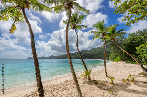 Palm trees on paradise Sunny beach and tropical sea. Anse Takamaka beach on Seychelles.