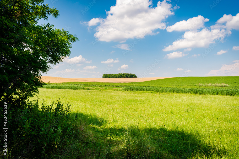Obraz premium Fields in the hungarian countryside in summer
