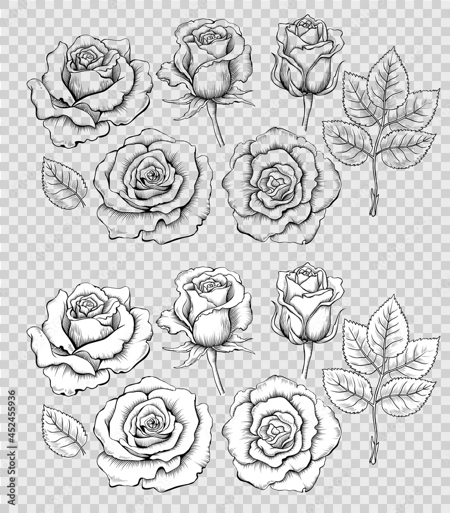 outline drawing of flowers - Clip Art Library