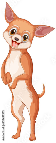 Chihuahua dog cartoon on white background