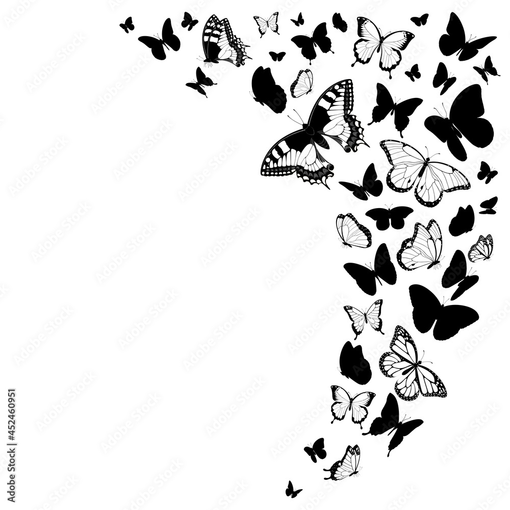 Black and white butterflies design isolated on white vector illustration  Stock Vector