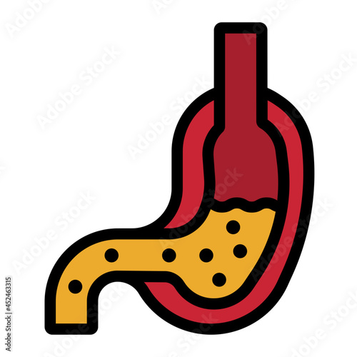 stomach