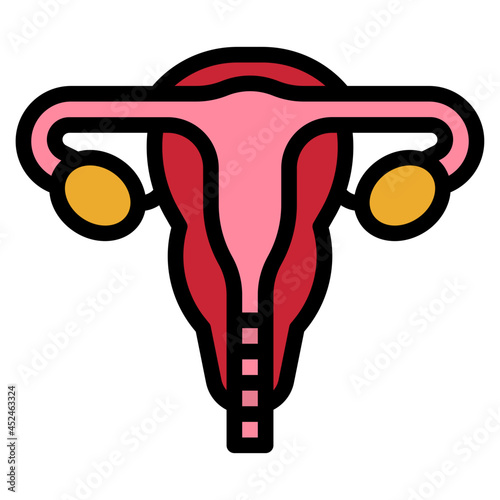 uterus