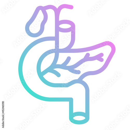 pancreas
