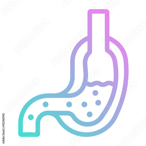 stomach