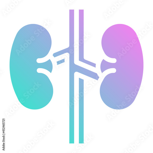 kidney