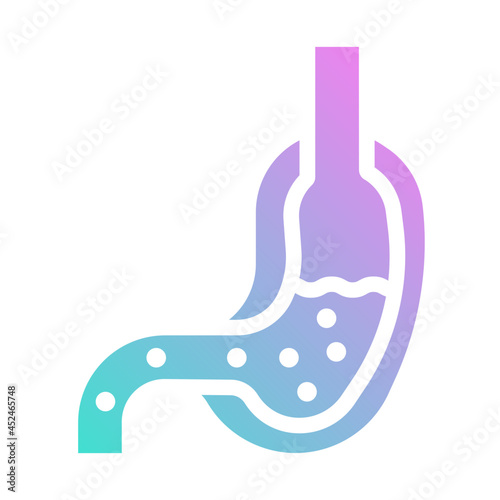 stomach