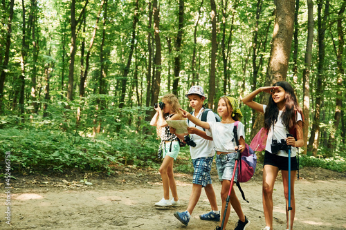 Summertime weekend. Kids strolling in the forest with travel equipment