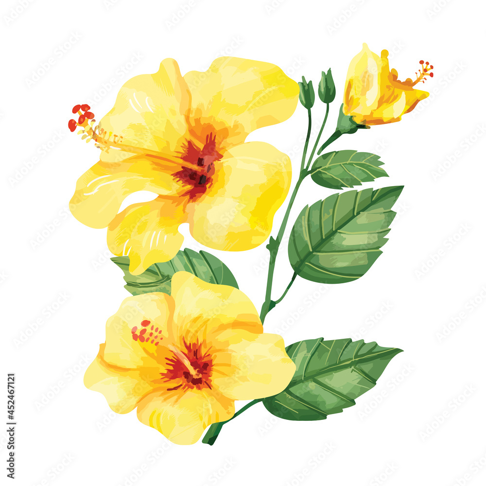 Hand drawn yellow hibiscus flower