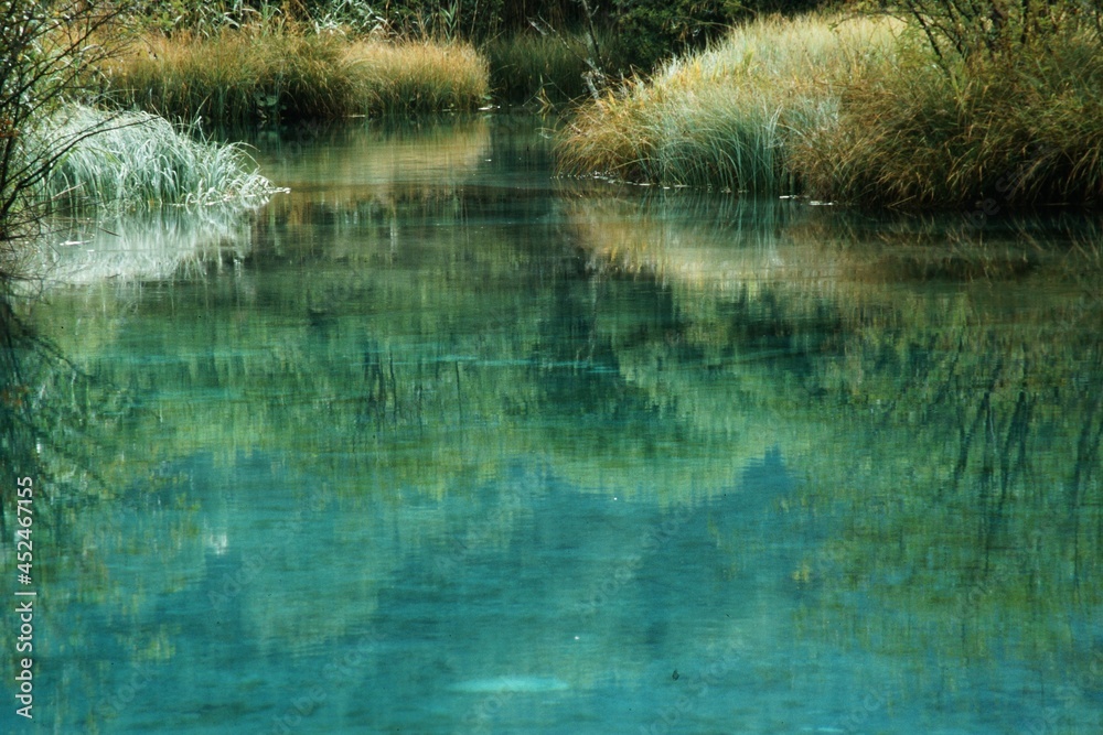 zelenci zelenci