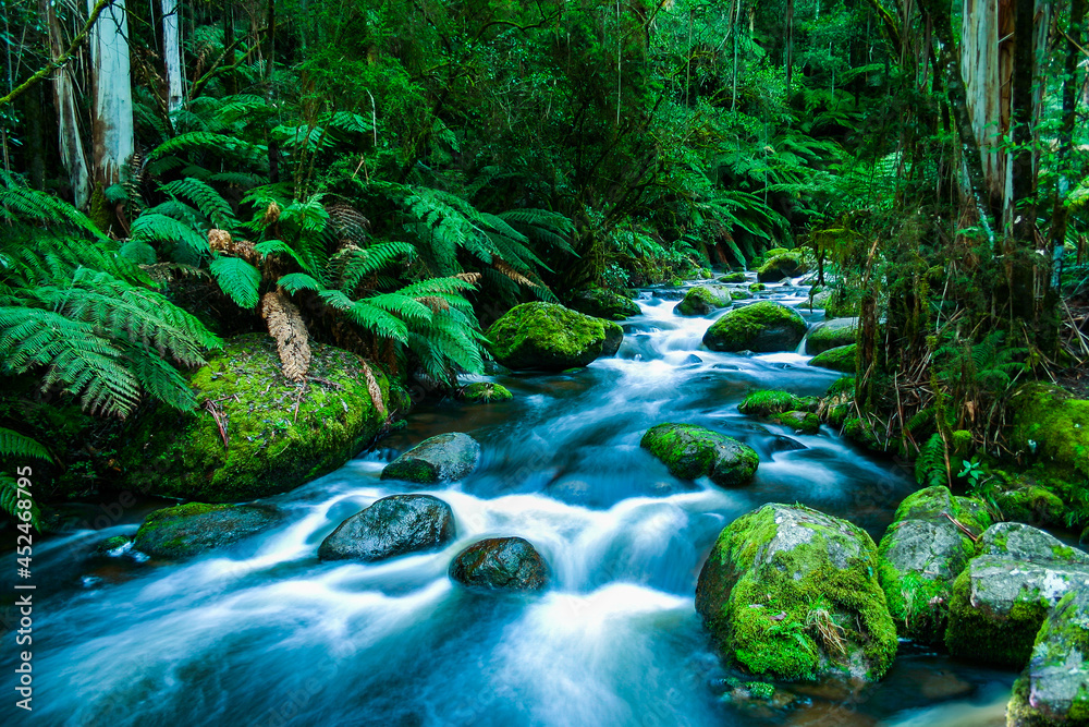 Mountain river cascading through the lush green rainforest