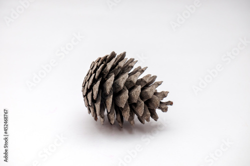 A pine cone on a white background. Selective focus. Space for text.