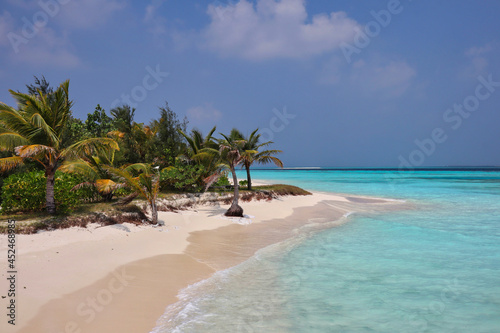 Beautiful View of Idyllic Beach in Maldives Resort with Sandy Shore and Turquoise Sea. Palm Tree, Coast, Sunny Day, Maldivian Island, Indian Ocean. © nicolecedik