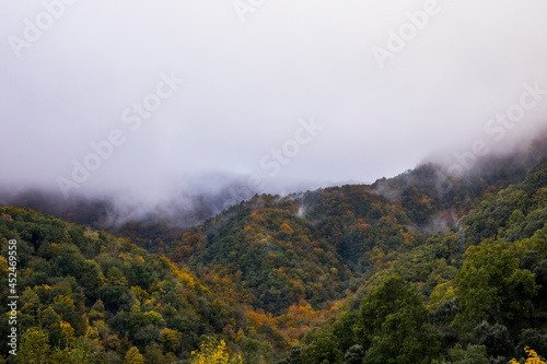 Autumn sunrise in Puigsacalm peak, La Garrotxa, Girona, Spain