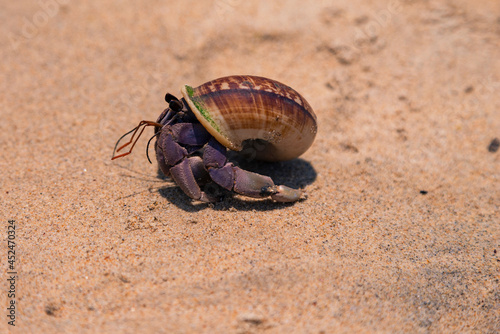 Small Sandy Beach Krebs