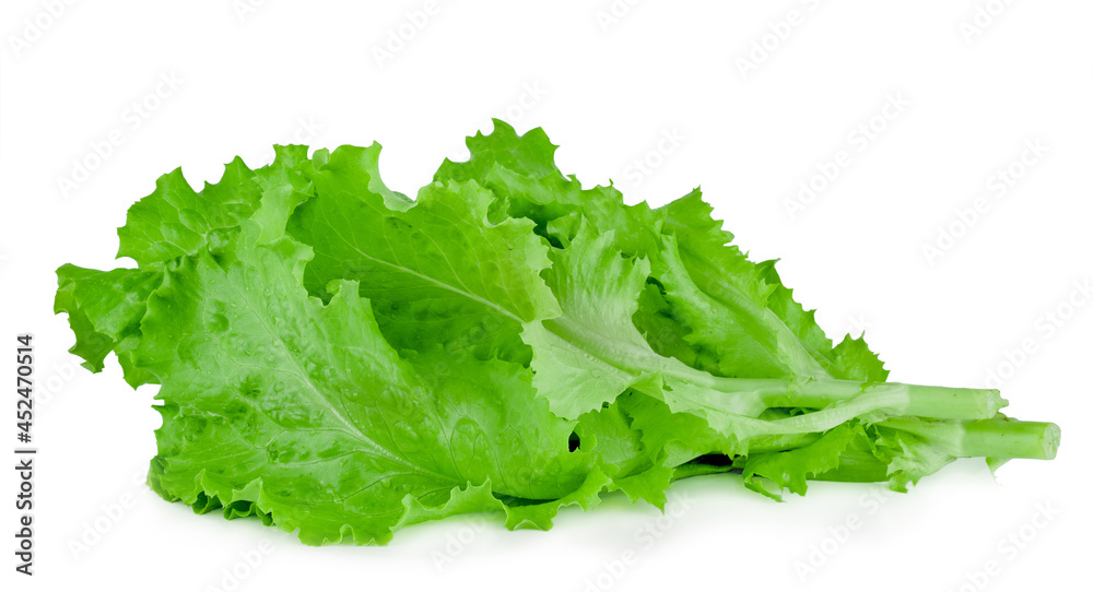Fresh salad leaf isolated on a white background Fresh salad leaf isolated on a white background