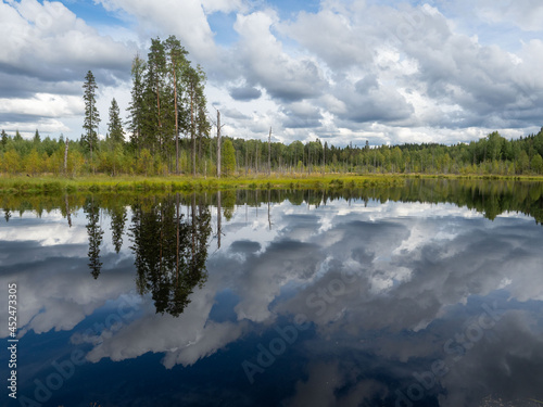 View of a forest lake in Karelia (northwest Russia), which reflects the forest and clouds