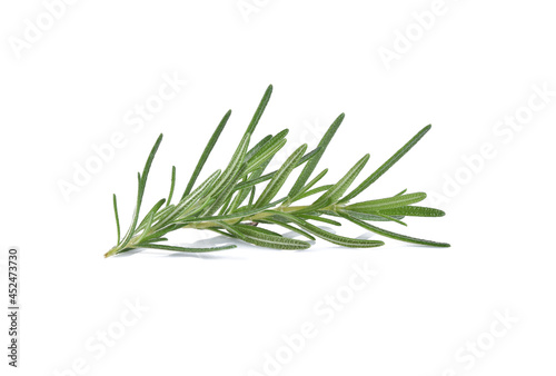 Rosemary isolated on white background