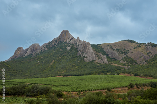 Dramatic mountain landscape. Vineyards in the mountains. Bad weather, thunderclouds in the sky