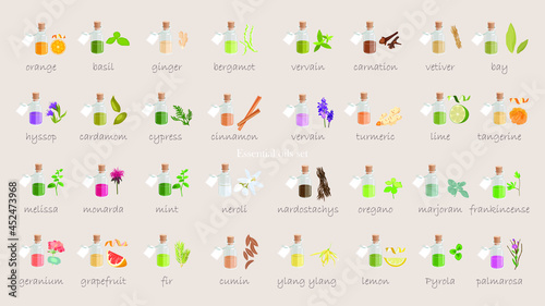 A large set of essential oil icons. Plants for aromatherapy. Oil icons for stores and magazines. The best herbs for aromatherapy. Set of medicinal plants. Vector collection for perfumes and cosmetic. © Aleksandr