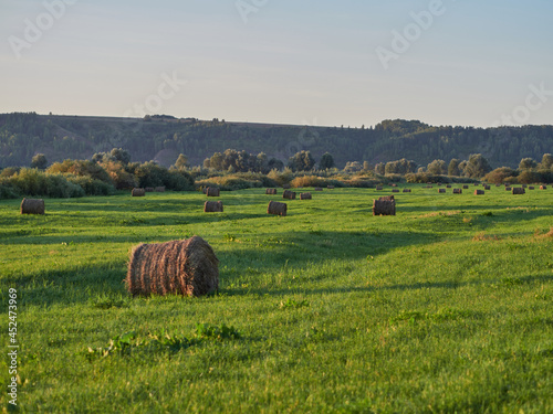landscape with bales