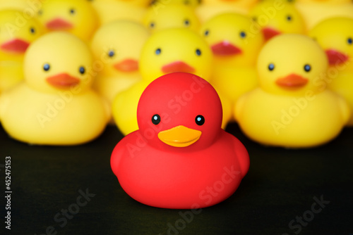 Obraz na plátně Closeup of rubber duckies