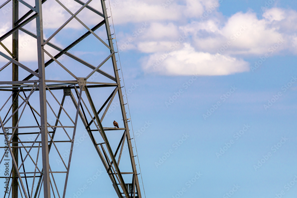 Structure concept iron electric high voltage pole with blue sky and white cloud as background, Steel frame of transmission line pylon lattice tower in Dutch countryside, Netherlands.